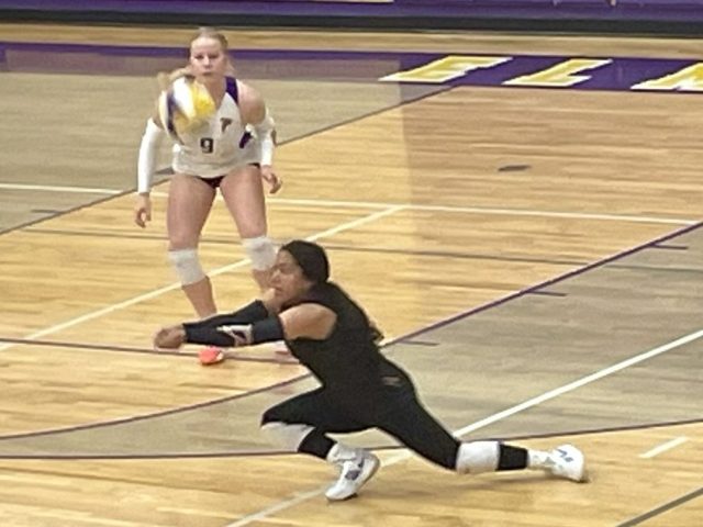 Elmira Falcons Varsity Volleyball Team Wins Against Oakridge